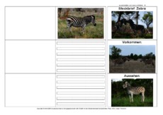 Flip-Flap-Zebra-1.pdf